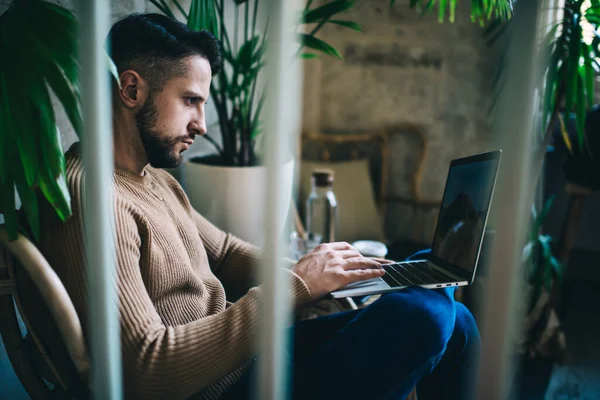 Seitenansicht Des Fokussierten Mannes Der Computer Nach Informationen Sucht Und — Stockfoto