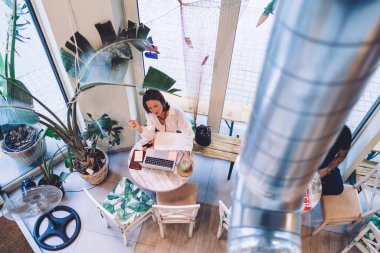 Zarif elbiseli zarif bayandan kahve içerken yaratıcı, rahat bir kafede dizüstü bilgisayarla çalışırken.