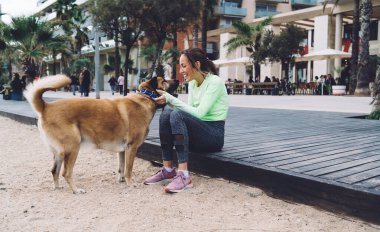 Sabah vakti gezmek için aktif eşofmanlı neşeli bir kadın safkan bir köpekle gezmek için dinleniyor. Neşeli, sağlıklı, neşeli bir beyaz kız, sevimli köpekçik köpekle oynuyor.