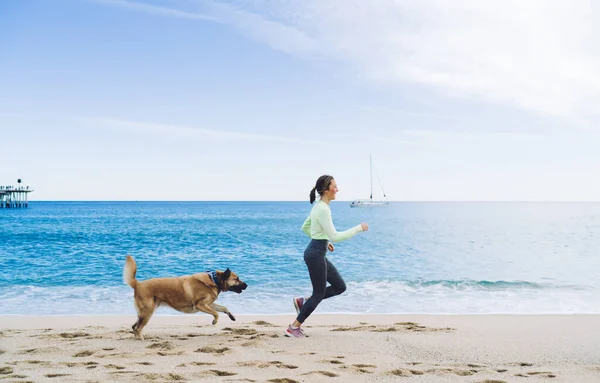 日当たりの良い屋外でペット犬と遊びながら海岸沿いを走る活動中の長さの大人の女性の側面図 — ストック写真
