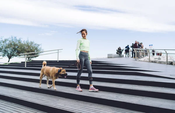 Von Unten Von Ganzkörperlicher Fröhlicher Hündin Aktiver Kleidung Die Hund — Stockfoto