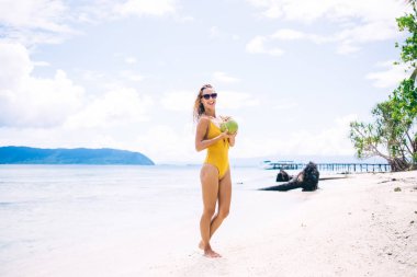 Kafasında hindistan cevizi meyvesi olan neşeli bir kadının yarım boy portresi kameraya gülümsüyor Maldivler 'de harika tatiller yapıyor güneş gözlüklü mutlu kadın tropik plajlarda güneşlenmek için zaman harcıyor.