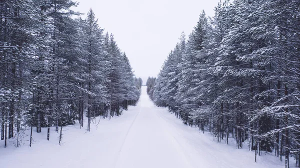 Landskap Flygfoto Drönare Flyger Genom Moln Till Berg Snöiga Tallar — Stockfoto