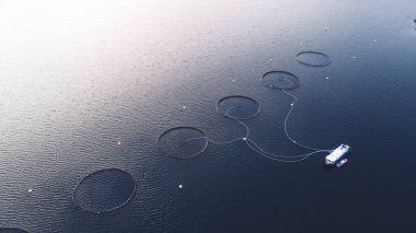 Norveç denizinde somon balığı yetiştiriciliği. Gıda endüstrisi, geleneksel zanaat üretimi, çevresel koruma. Kuzey Kutbu sularında fiyortlarla çevrili balık büyütmek ve yakalamak için kullanılan yuvarlak ağ görüntüsü