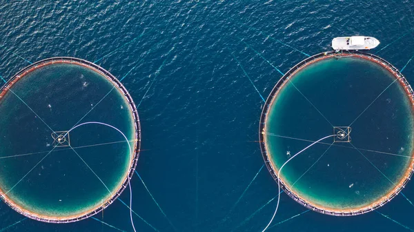 ノルウェー海でのサケ養殖 食品産業 伝統的な工芸品の生産 環境保全 フィヨルドに囲まれた北極海の水で魚を栽培し キャッチするための丸メッシュの空中ビュー — ストック写真