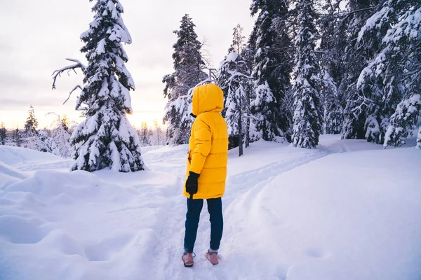 Kış Ormanlarında Patikalarda Yürüyen Kar Tatilin Tadını Çıkaran Kadın Sıcak — Stok fotoğraf