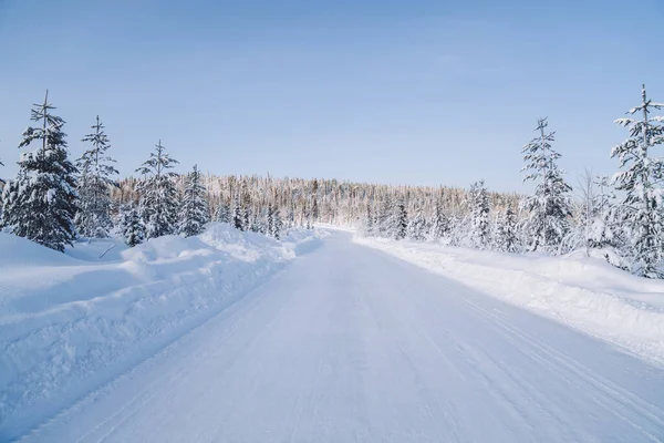 Широкая Дорога Снежных Землях Рядом Лесом Окружении Национального Парка Высокими — стоковое фото