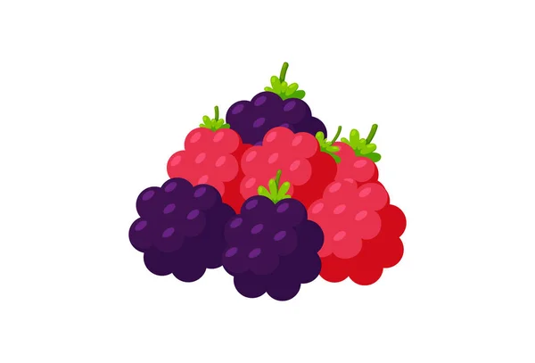 Eine Handvoll Brombeeren und Himbeeren. Frische Beeren isoliert in weißem Hintergrund. Vektorillustration — Stockvektor