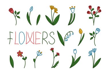 Çiçek seti. vektör illüstrasyonu