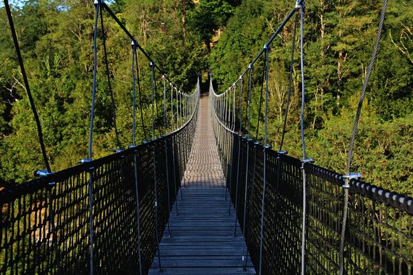 Wooden Suspension Bridge Forest Big Trees Full Green Leaves — Stock Photo, Image