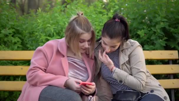 Jonge vrouwelijke vrienden kijken naar mobiele telefoon, wandelen in het park — Stockvideo