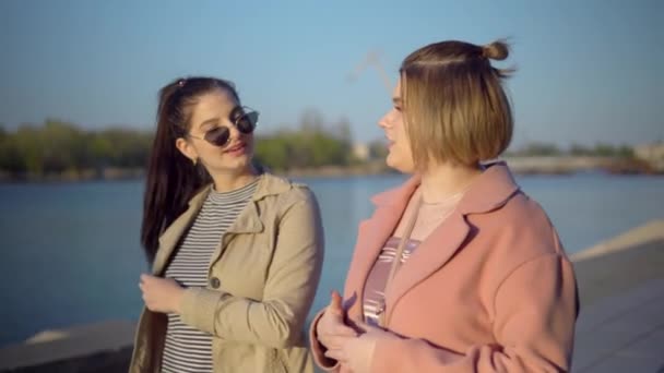 Amigos caminando en muelle, hablando mujer feliz en paseo — Vídeos de Stock