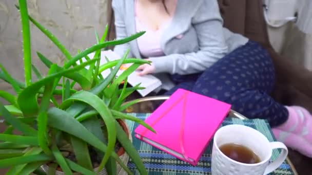 Lány olvasás könyv pihentető otthoni légkörben hangulatos nappali — Stock videók