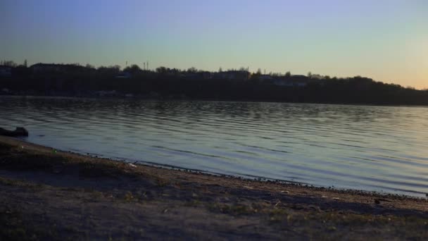 Flodstrand, vågor och sand, sjö vid solnedgången — Stockvideo