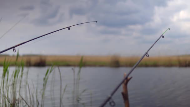 Vissen op rivier of meer, hengel, lucht achtergrond, natuur landschap, riet — Stockvideo