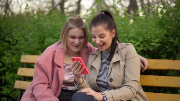 Νεαρή σοκαρισμένη γυναίκα κοιτάζοντας το κινητό, λέγοντας WOW, έκπληκτος κορίτσι με τα πόδια στο πάρκο — Αρχείο Βίντεο