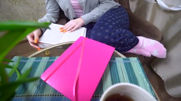 Frau liest Buch auf Sessel, entspannt zu Hause, gemütliches Wohnzimmer, Selbsterziehung — Stockvideo
