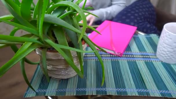 Jovem leitura livro, relaxante, cheeling em casa conforto, aconchegante sala de estar — Vídeo de Stock