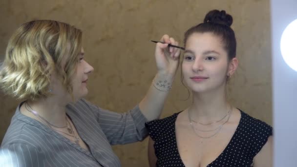 Visage artista trabajando con modelo poner maquillaje en la cara, el estilo de las cejas — Vídeo de stock