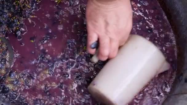 酿酒用碎葡萄、家酿、秋季葡萄收获、生汁葡萄酒 — 图库视频影像