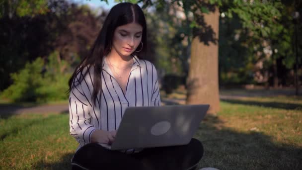 Mujer atractiva freelancer trabajando con portátil al aire libre en el parque en la hierba — Vídeo de stock