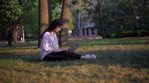 Молода жінка сидить на траві, використовуючи ноутбук, позаштатна онлайн робота — стокове відео