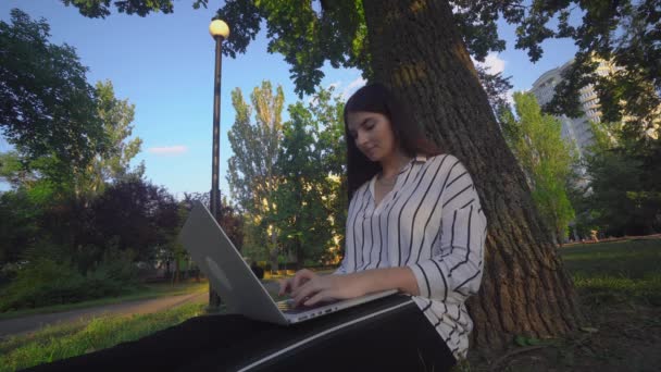 Freelancer mulher trabalhando com laptop ao ar livre no parque, trabalho à distância — Vídeo de Stock