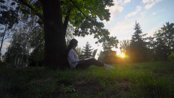 Donna seduta sotto l'albero nel parco, usando laptop, lavoro a distanza — Video Stock