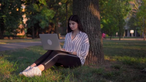 Mujer sonriente usando portátil en el parque, freelancer trabajo a distancia, relajarse al aire libre — Vídeo de stock