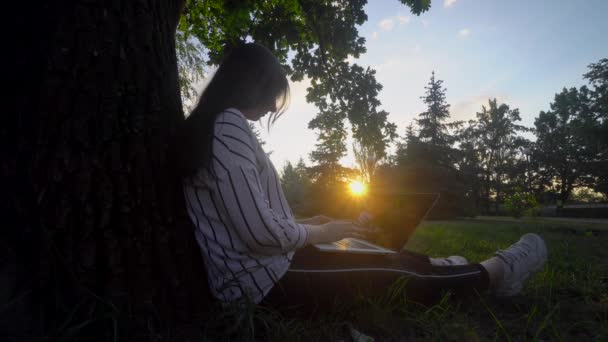 Femme assise sur l'herbe dans le parc, à l'aide d'un ordinateur portable, télétravail, pigiste — Video