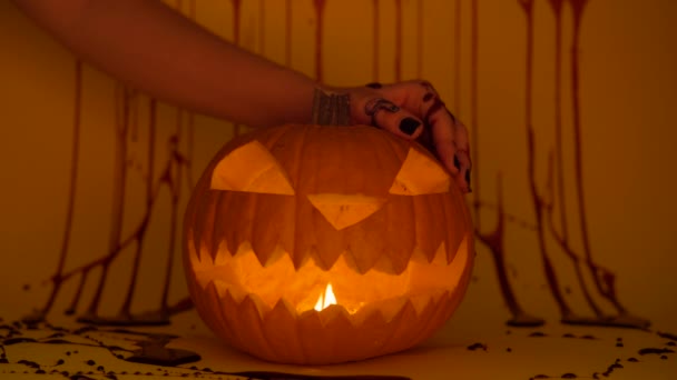 Halloween pumpa glöder i häxhänder, skrämmande skräck mystisk semester falska blod — Stockvideo