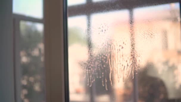 Wanita membersihkan jendela dengan cairan semprot untuk kaca, layanan pembersihan rumah tangga — Stok Video