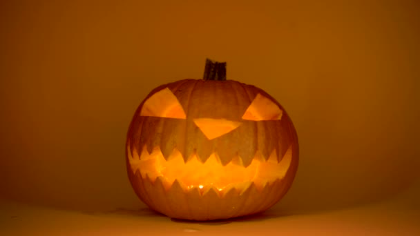 Carved halloween pumpkin glowing on color background Jack lantern handmade decor — Stock Video