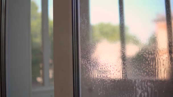 Очищення вікна розпиленими рідкими засобами для чищення, прибиральниця крупним планом — стокове відео