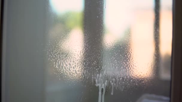 Очищення вікна, протирання скла розпорошеними засобами для очищення рідини та ганчіркою в руках — стокове відео