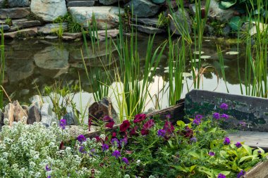 Taşlarla ve bitkilerle güzelce süslenmiş. Suyun üzerinde gökyüzünün yansıması olan yapay su..