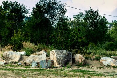 Taşlar yeşil uzayın arka planına göre büyüyorlar. Fotoğraf: Chelyabinsk, Rusya.