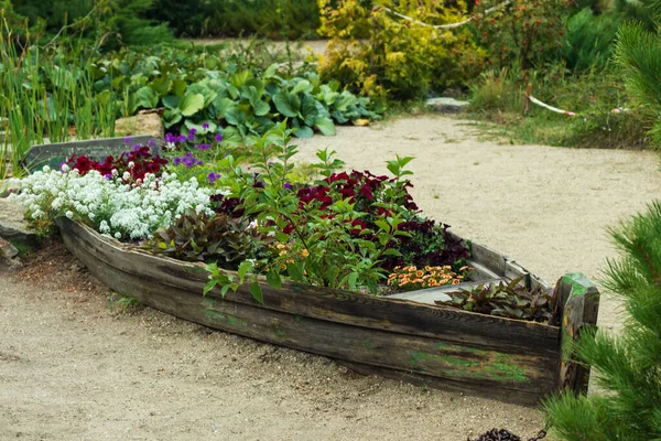 Красиво розроблена клумба у вигляді човна з квітами різних кольорів . — стокове фото