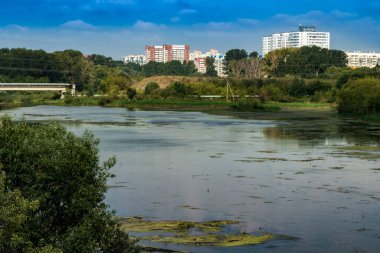 Manzara, öğleden sonra nehir manzarası. Fotoğraf Miass Nehri 'nin kıyısında çekildi. Chelyabinsk, Rossi.