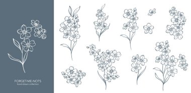 Çiçek çizmememi unut. Beyaz arka planda izole edilmiş 