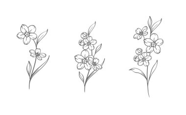 Çiçek çizmememi unut. Beyaz illüstrasyonda izole edilmiş 