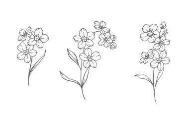 Çiçek çizmememi unut. Beyaz illüstrasyonda izole edilmiş 