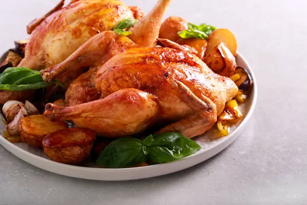 Roast Chickens Roast Vegetables Plate — Stock Photo, Image
