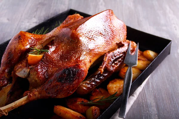 Gänsebraten Auf Tablett Mit Rosmarin Und Orange — Stockfoto