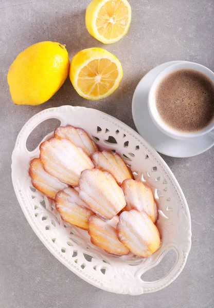 Madeleinas de limón con azúcar en polvo — Foto de Stock