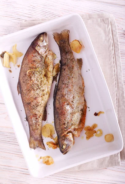 Pesce trota iridea al forno — Foto Stock