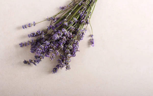 Bouquet Fleurs Lavande Fraîche Sur Table — Photo