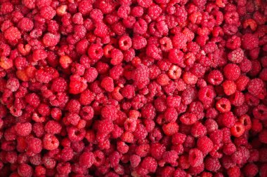 Bir sürü ahududu olan üst manzara