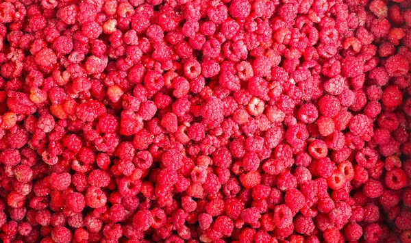 Draufsicht Mit Vielen Himbeeren — Stockfoto