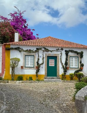 Eski Portekiz evi ve renkli bitkilerin manzarası